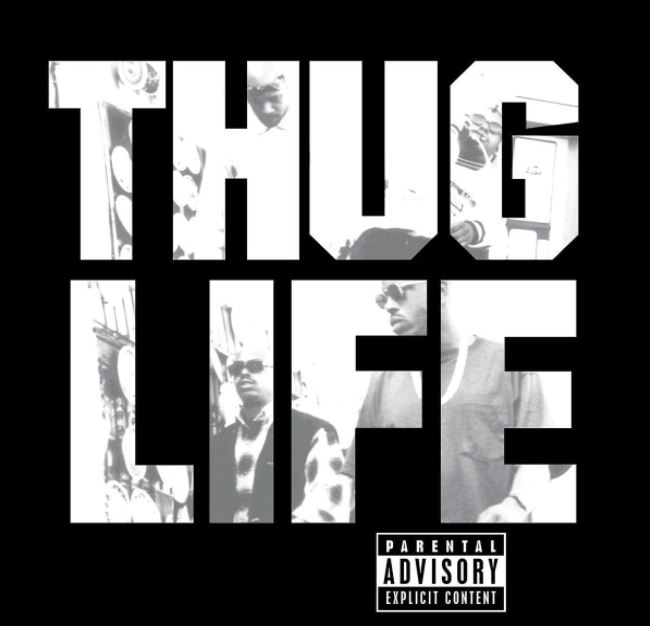 LP Thug Life 2Pac Vinil 180g Importado Lacrado – Casa Marighella